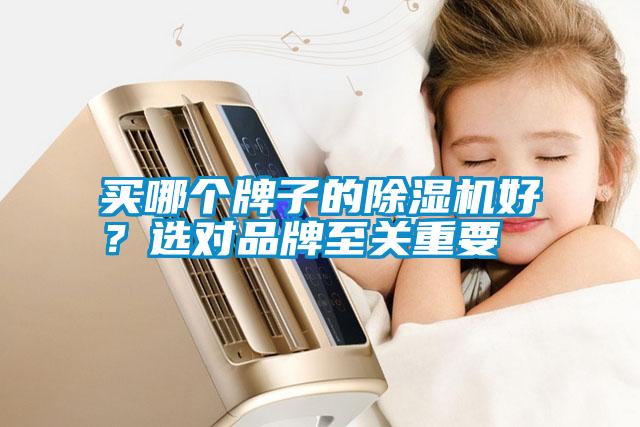 買哪個(gè)牌子的除濕機(jī)好？選對品牌至關(guān)重要