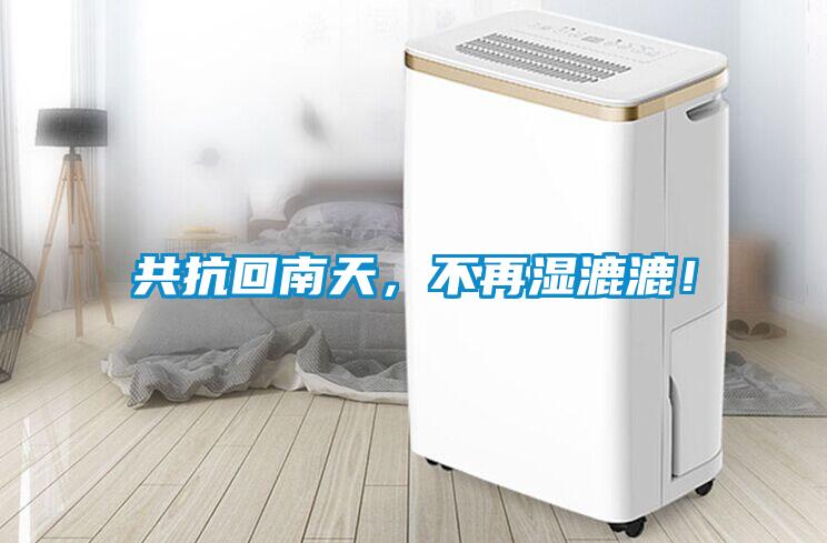 共抗回南天，不再濕漉漉！
