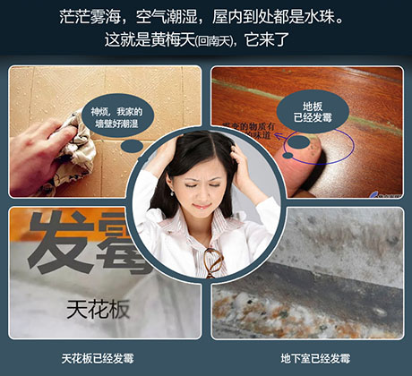 工業(yè)除濕機(jī)廠(chǎng)家