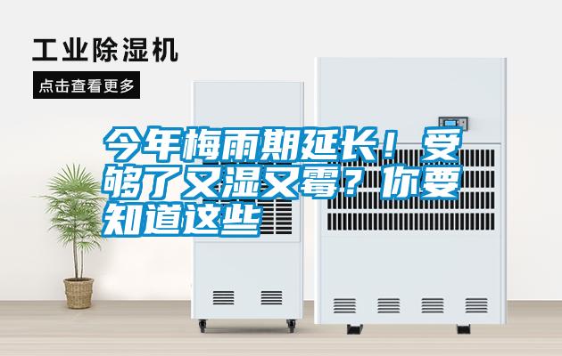 今年梅雨期延長！受夠了又濕又霉？你要知道這些