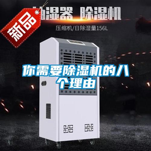 你需要除濕機(jī)的八個理由
