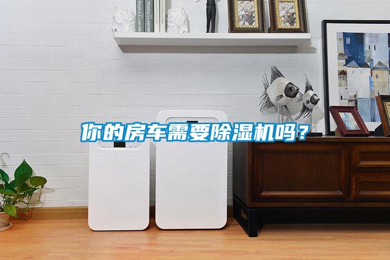 你的房車需要除濕機嗎？