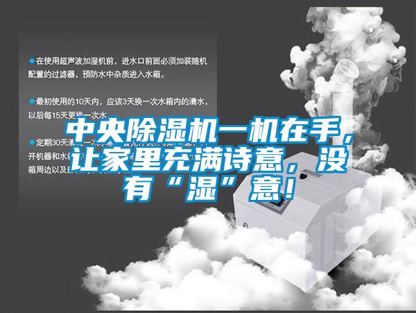中央除濕機(jī)一機(jī)在手，讓家里充滿詩意，沒有“濕”意！