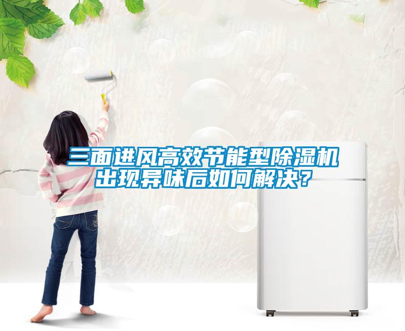 三面進風高效節能型除濕機出現異味后如何解決？