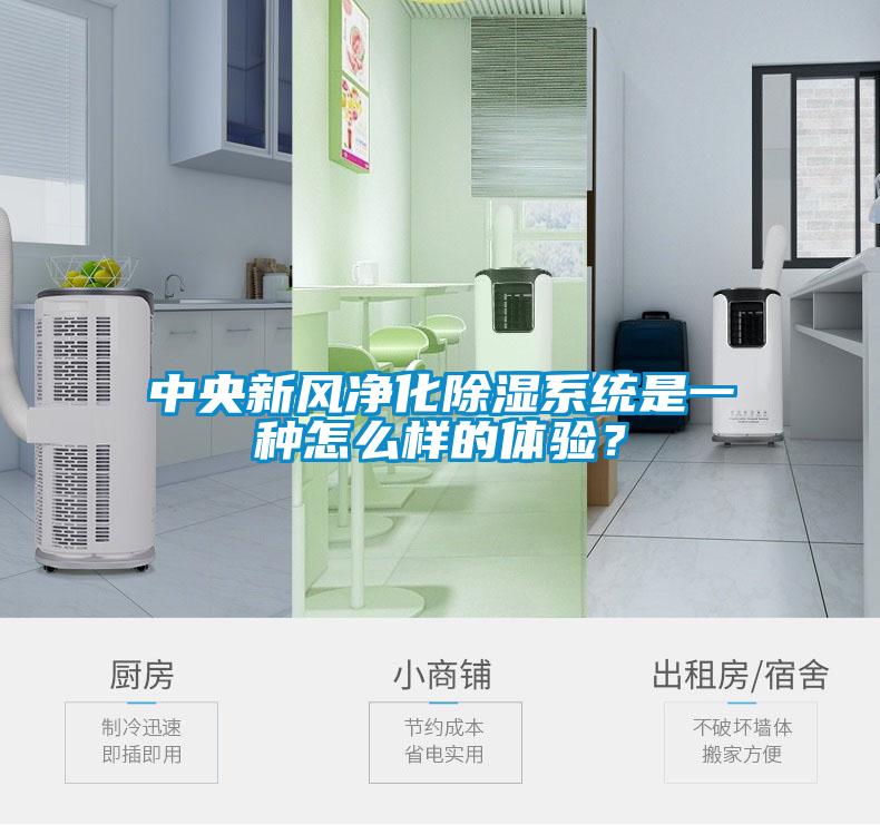 中央新風(fēng)凈化除濕系統(tǒng)是一種怎么樣的體驗(yàn)?