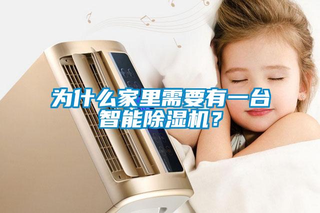 為什么家里需要有一臺智能除濕機(jī)？