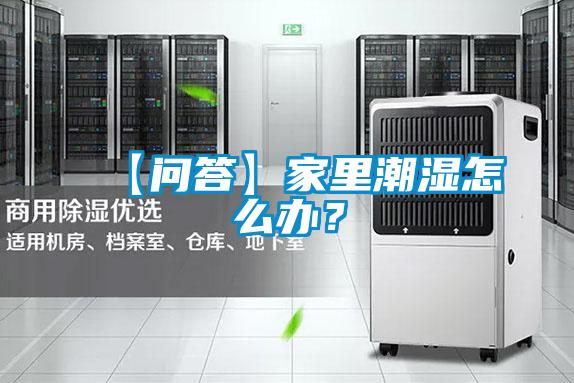 【問(wèn)答】家里潮濕怎么辦?