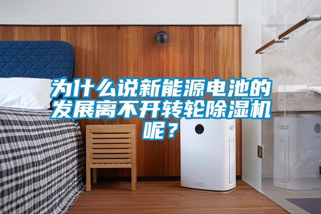 為什么說(shuō)新能源電池的發(fā)展離不開(kāi)轉(zhuǎn)輪除濕機(jī)呢？