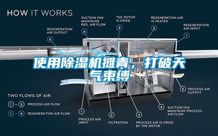 使用除濕機攤青，打破天氣束縛