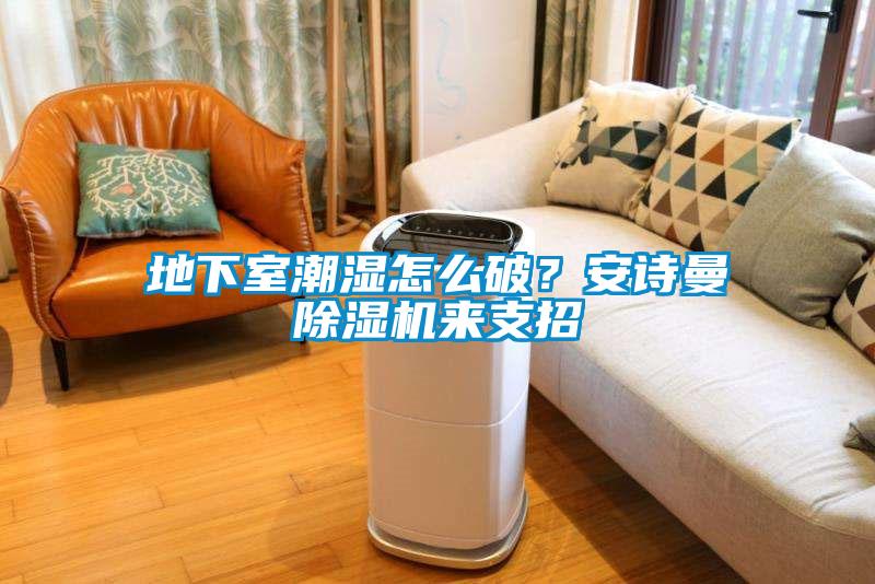 地下室潮濕怎么破？安詩(shī)曼除濕機(jī)來支招