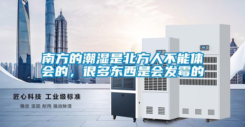 南方的潮濕是北方人不能體會的，很多東西是會發霉的