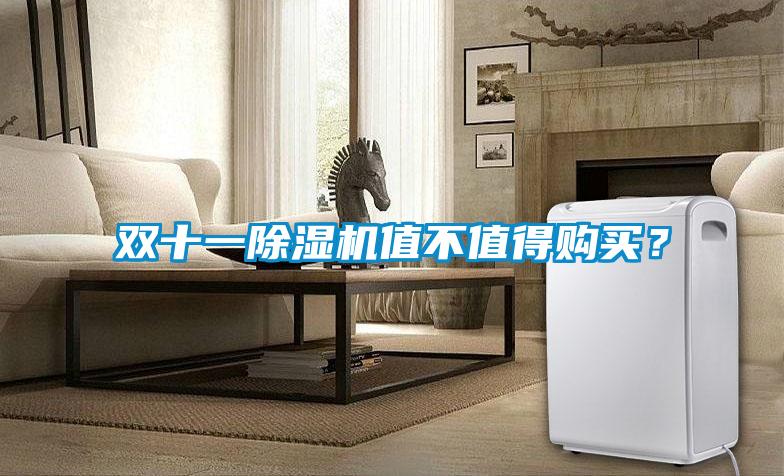 雙十一除濕機(jī)值不值得購買？