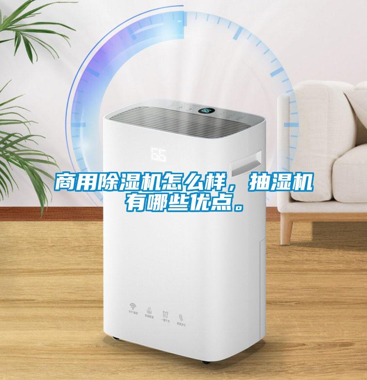 商用除濕機怎么樣，抽濕機有哪些優點。