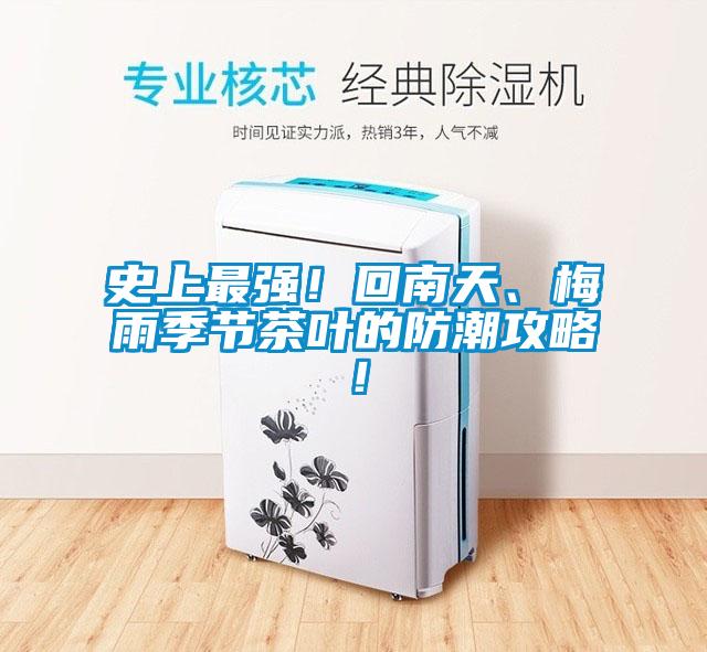 史上最強！回南天、梅雨季節茶葉的防潮攻略！