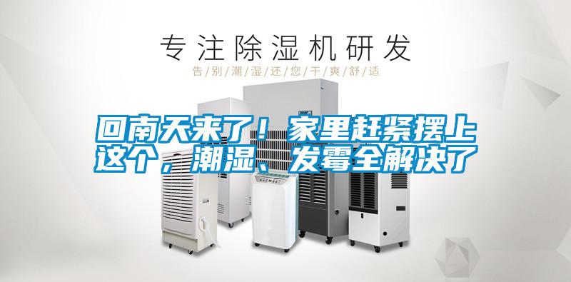 回南天來了！家里趕緊擺上這個，潮濕、發霉全解決了
