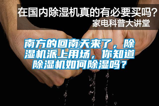 南方的回南天來(lái)了，除濕機(jī)派上用場(chǎng)，你知道除濕機(jī)如何除濕嗎？