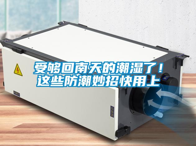 受夠回南天的潮濕了！這些防潮妙招快用上