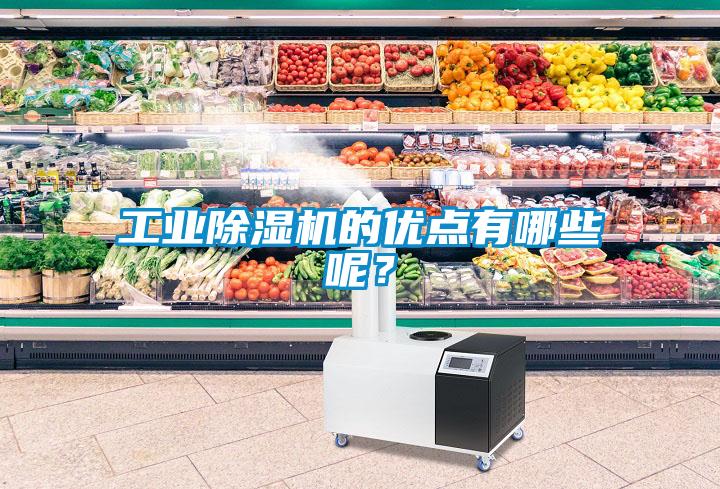 工業(yè)除濕機(jī)的優(yōu)點有哪些呢？