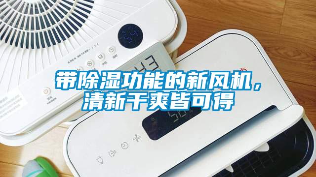 帶除濕功能的新風(fēng)機(jī)，清新干爽皆可得