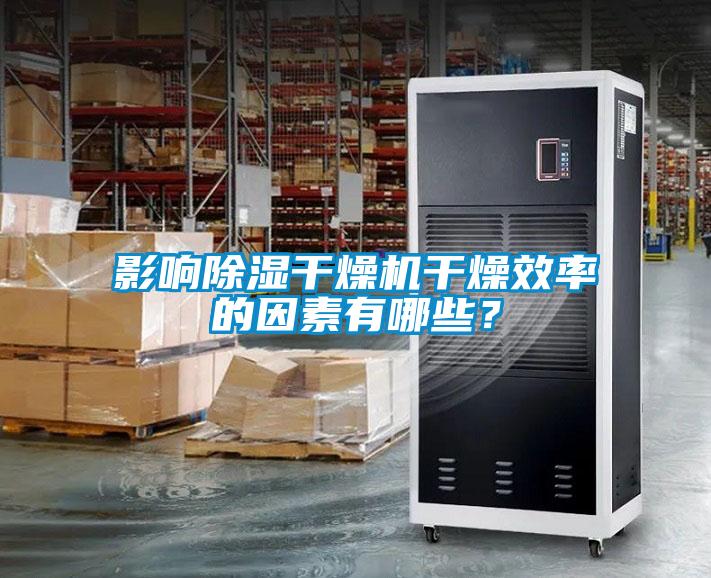 影響除濕干燥機干燥效率的因素有哪些？