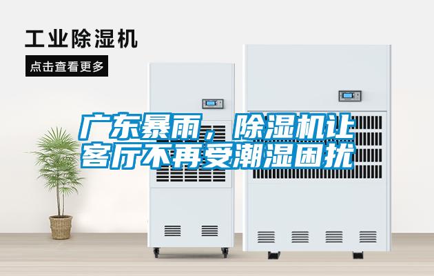 廣東暴雨，除濕機讓客廳不再受潮濕困擾