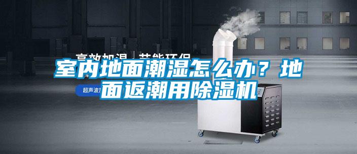 室內(nèi)地面潮濕怎么辦？地面返潮用除濕機
