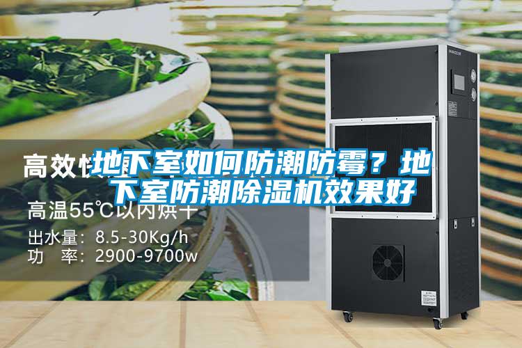 地下室如何防潮防霉？地下室防潮除濕機效果好