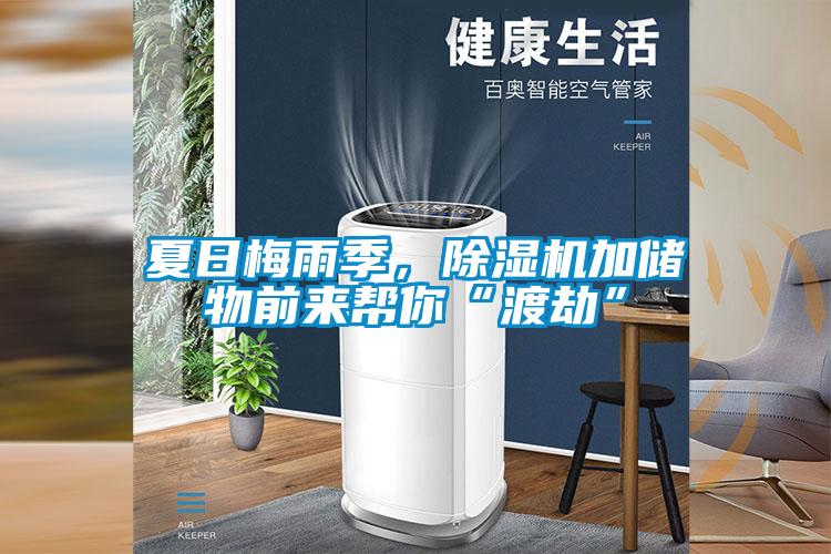 夏日梅雨季，除濕機(jī)加儲(chǔ)物前來(lái)幫你“渡劫”