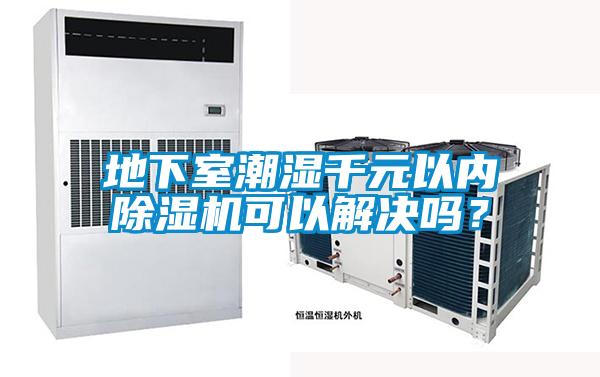 地下室潮濕千元以內除濕機可以解決嗎?