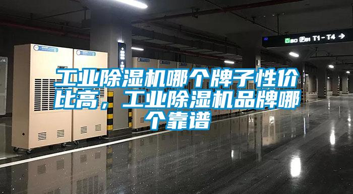 工業(yè)除濕機哪個牌子性價比高，工業(yè)除濕機品牌哪個靠譜