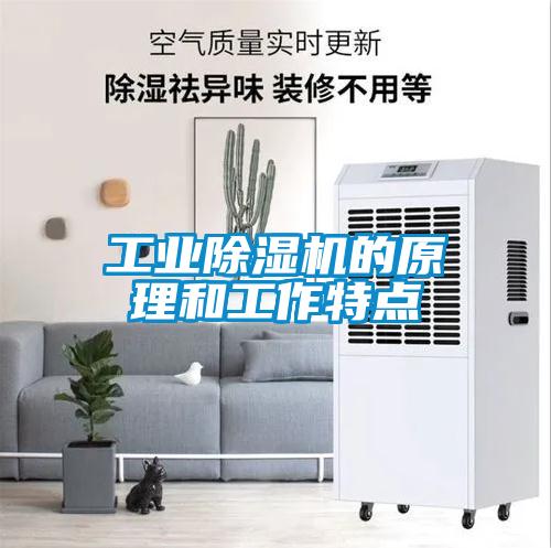 工業(yè)除濕機(jī)的原理和工作特點