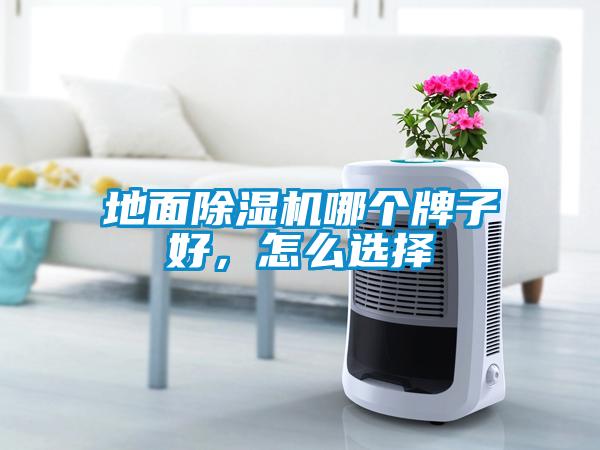 地面除濕機哪個牌子好，怎么選擇