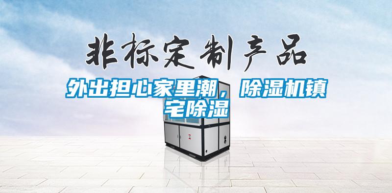 外出擔心家里潮，除濕機鎮(zhèn)宅除濕