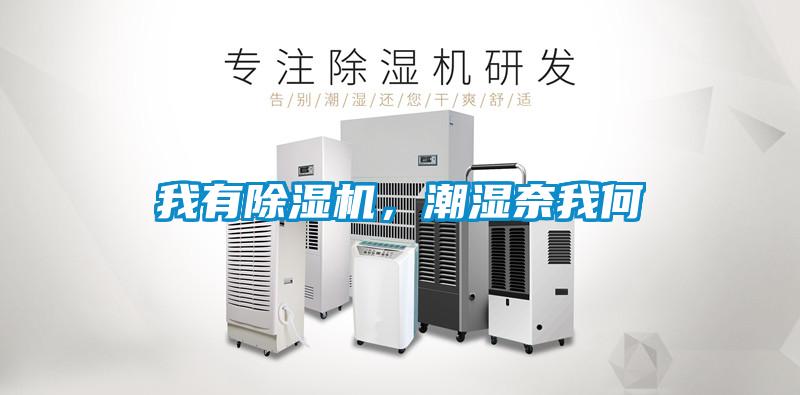 我有除濕機，潮濕奈我何