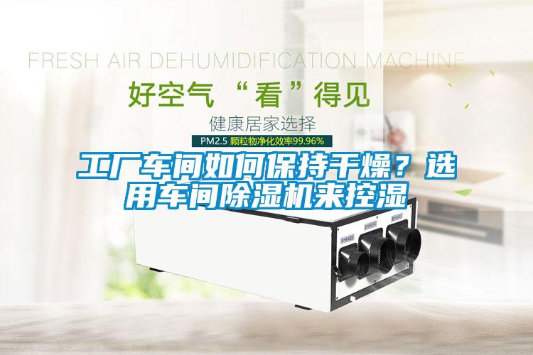 工廠車間如何保持干燥？選用車間除濕機(jī)來(lái)控濕