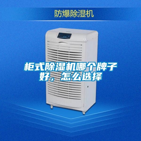 柜式除濕機哪個牌子好，怎么選擇