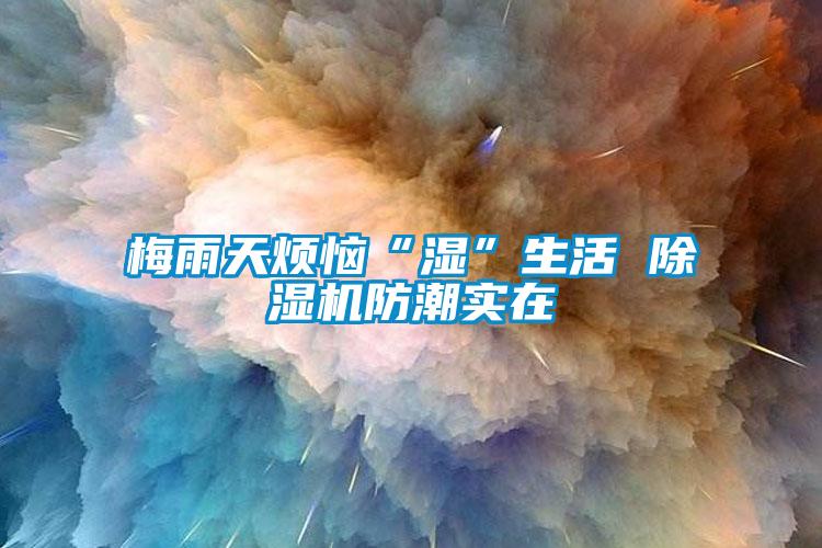 梅雨天煩惱“濕”生活 除濕機(jī)防潮實在