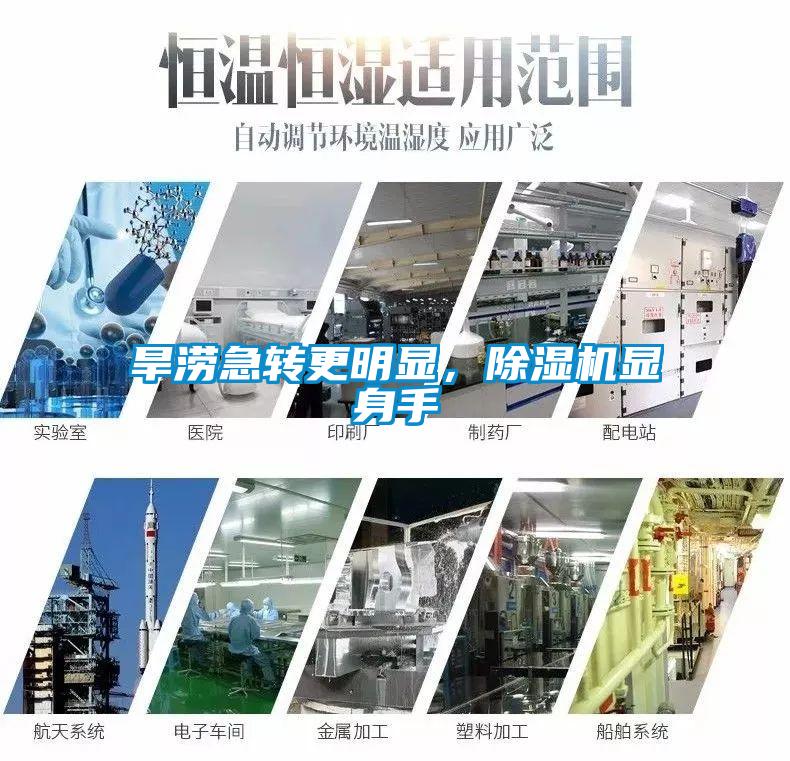 旱澇急轉更明顯，除濕機顯身手