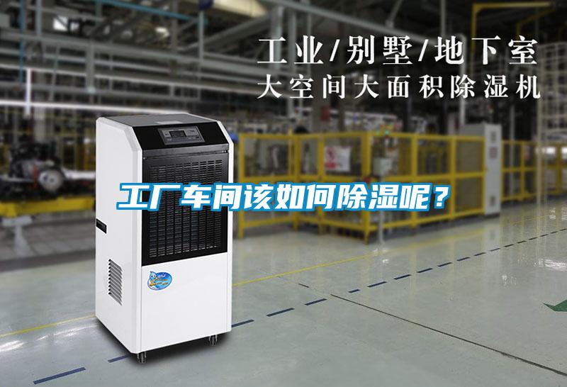 工廠車間該如何除濕呢？