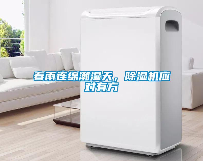 春雨連綿潮濕天，除濕機應(yīng)對有方