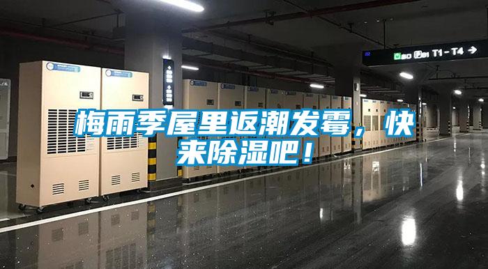 梅雨季屋里返潮發霉，快來除濕吧！