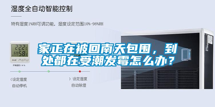 家正在被回南天包圍，到處都在受潮發(fā)霉怎么辦？