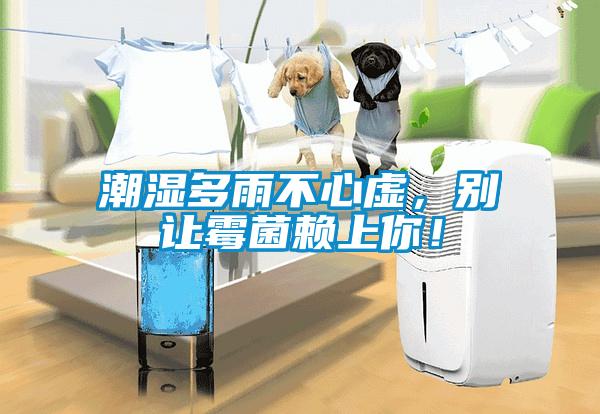 潮濕多雨不心虛，別讓霉菌賴上你！