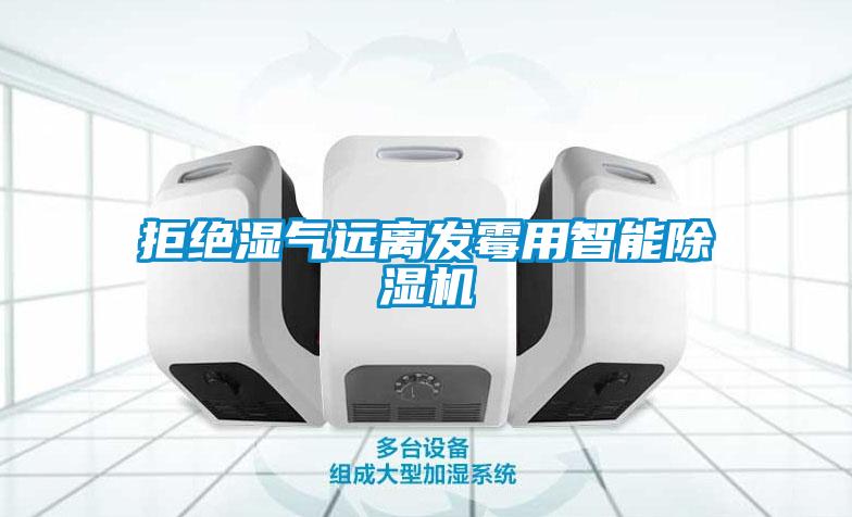 拒絕濕氣遠(yuǎn)離發(fā)霉用智能除濕機
