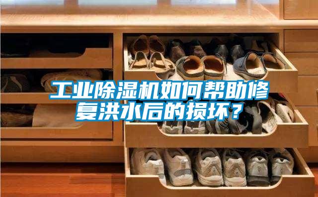 工業除濕機如何幫助修復洪水后的損壞？