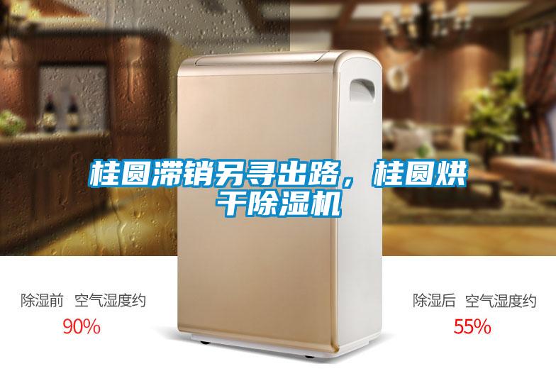 桂圓滯銷另尋出路,桂圓烘干除濕機(jī)