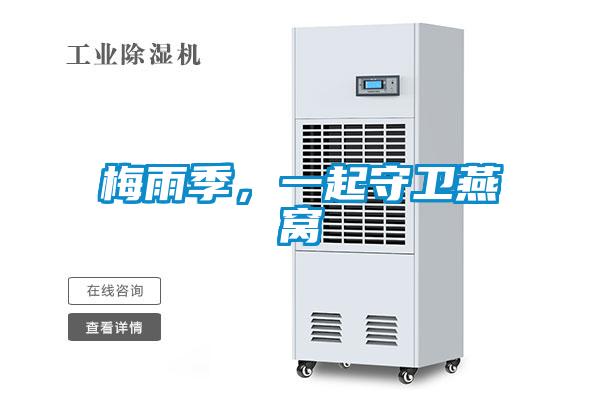 梅雨季，一起守衛(wèi)燕窩
