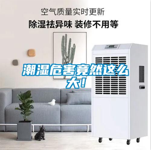 潮濕危害竟然這么大！