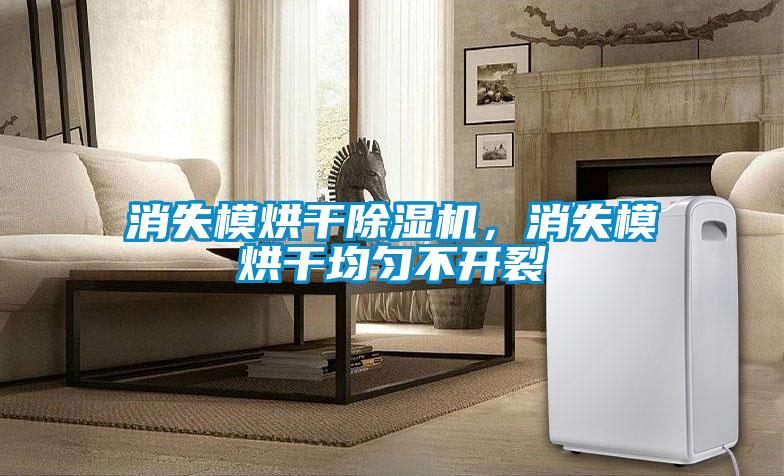 消失模烘干除濕機，消失模烘干均勻不開裂