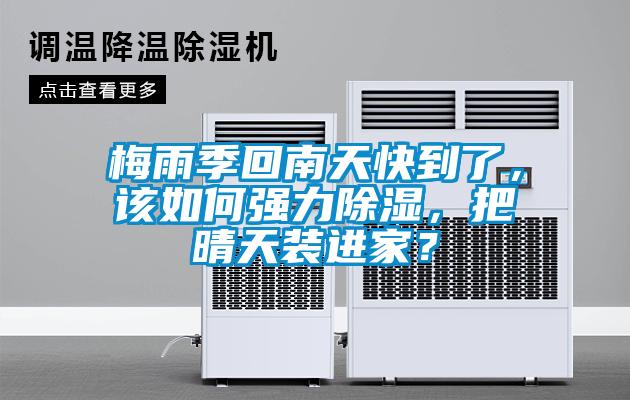 梅雨季回南天快到了，該如何強力除濕，把晴天裝進家？